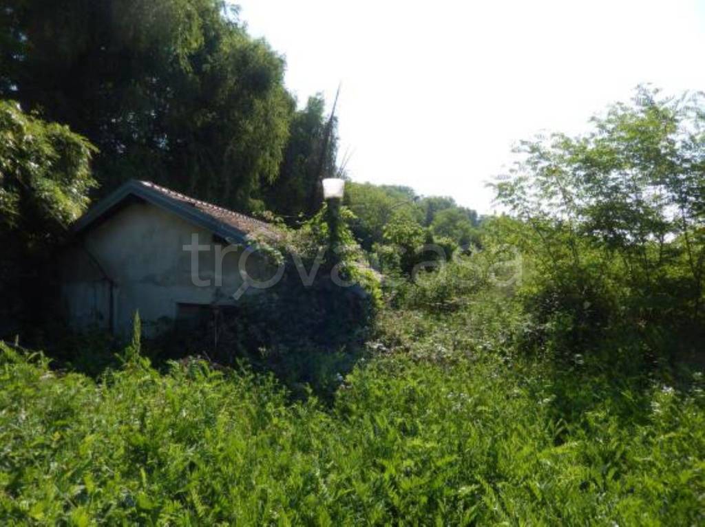 immagine annuncio 7 di 11