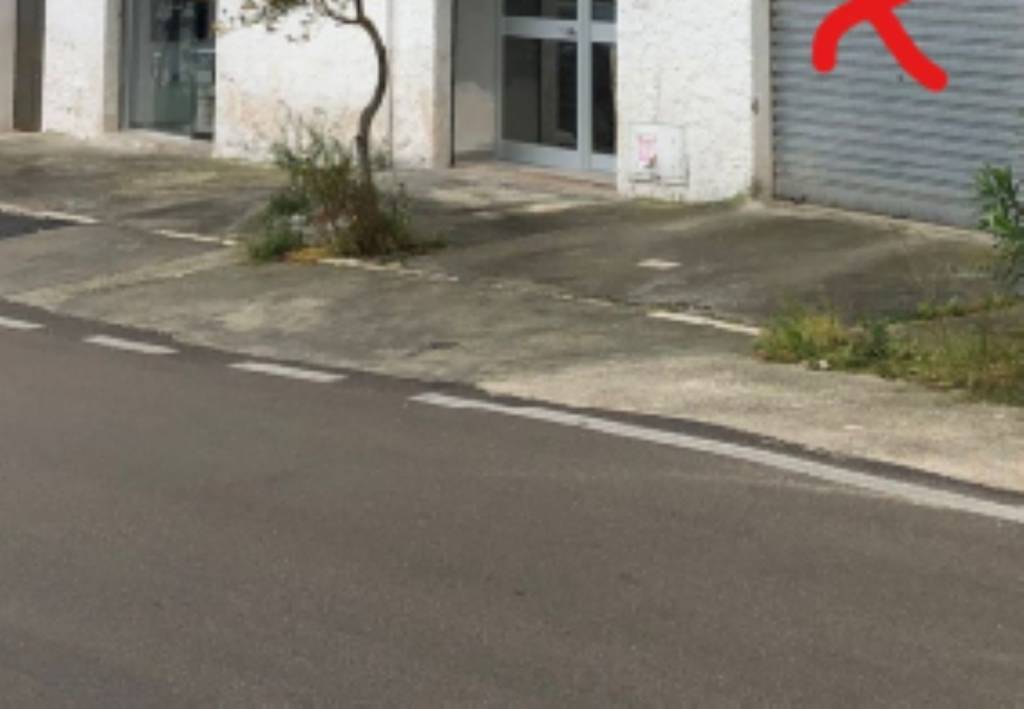 immagine annuncio 6 di 11