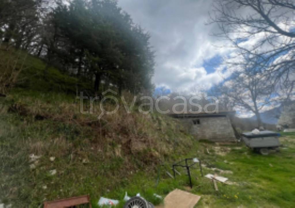 immagine annuncio 2 di 11