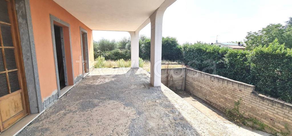 immagine annuncio 2 di 13