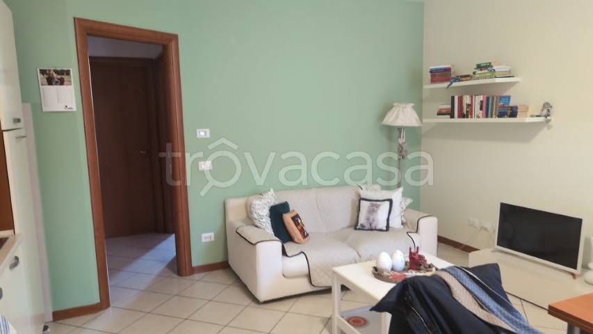 immagine annuncio 3 di 12