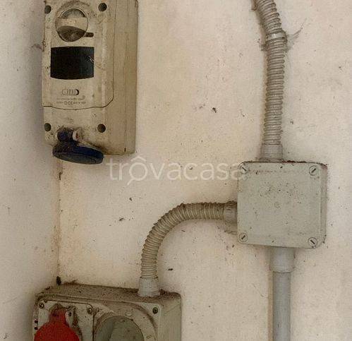 immagine annuncio 5 di 6