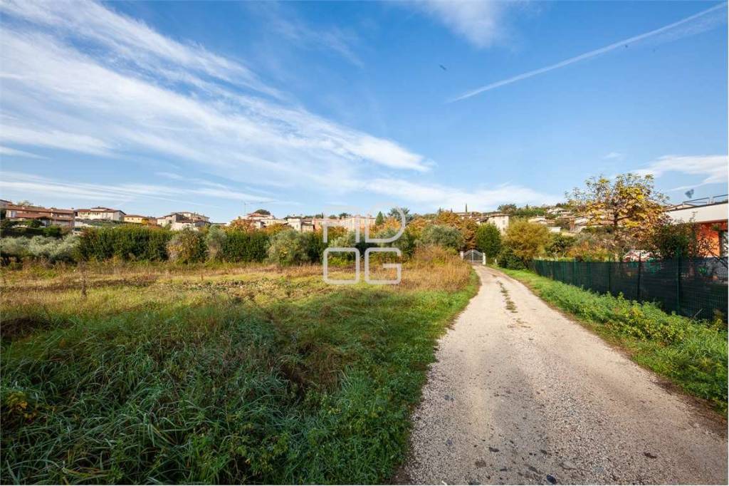 immagine annuncio 4 di 7