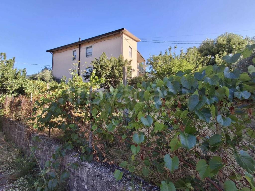immagine annuncio 4 di 13