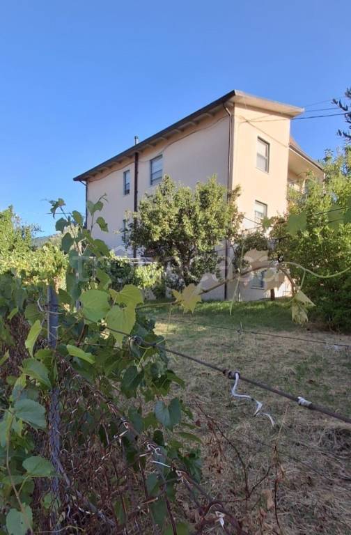 immagine annuncio 8 di 13