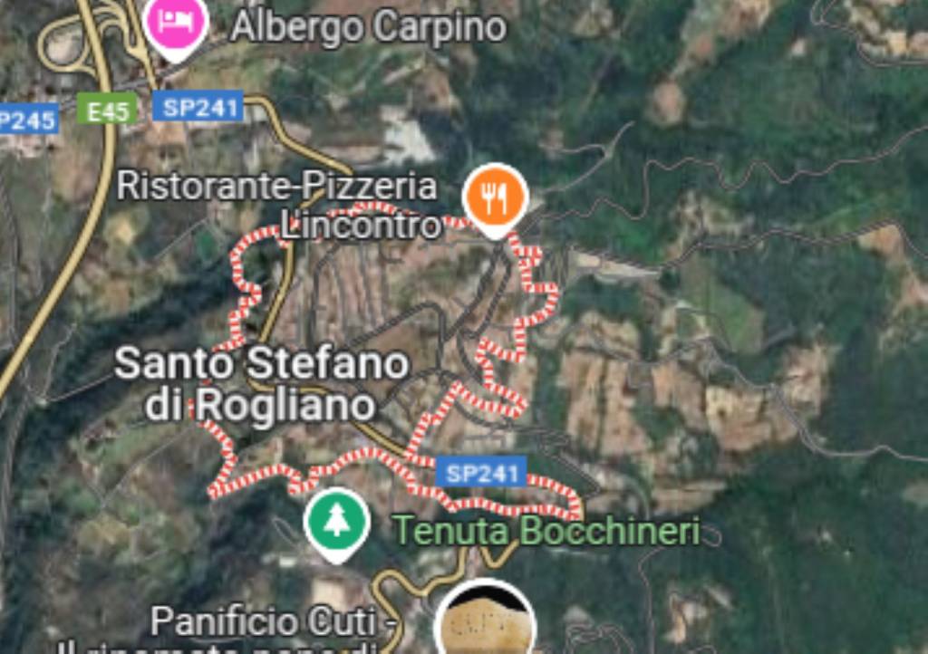 immagine annuncio 3 di 11