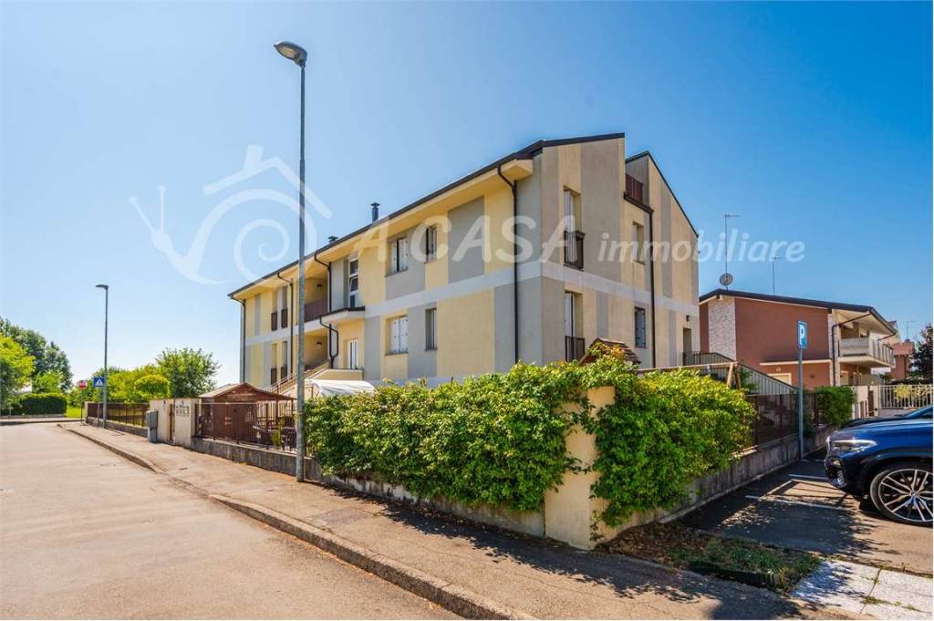 immagine annuncio 12 di 13