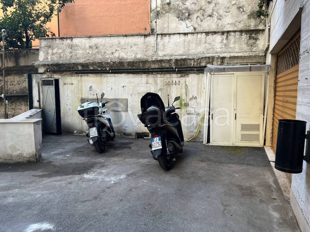 immagine annuncio 11 di 13