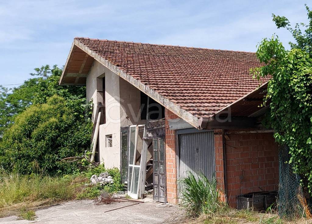 immagine annuncio 3 di 14