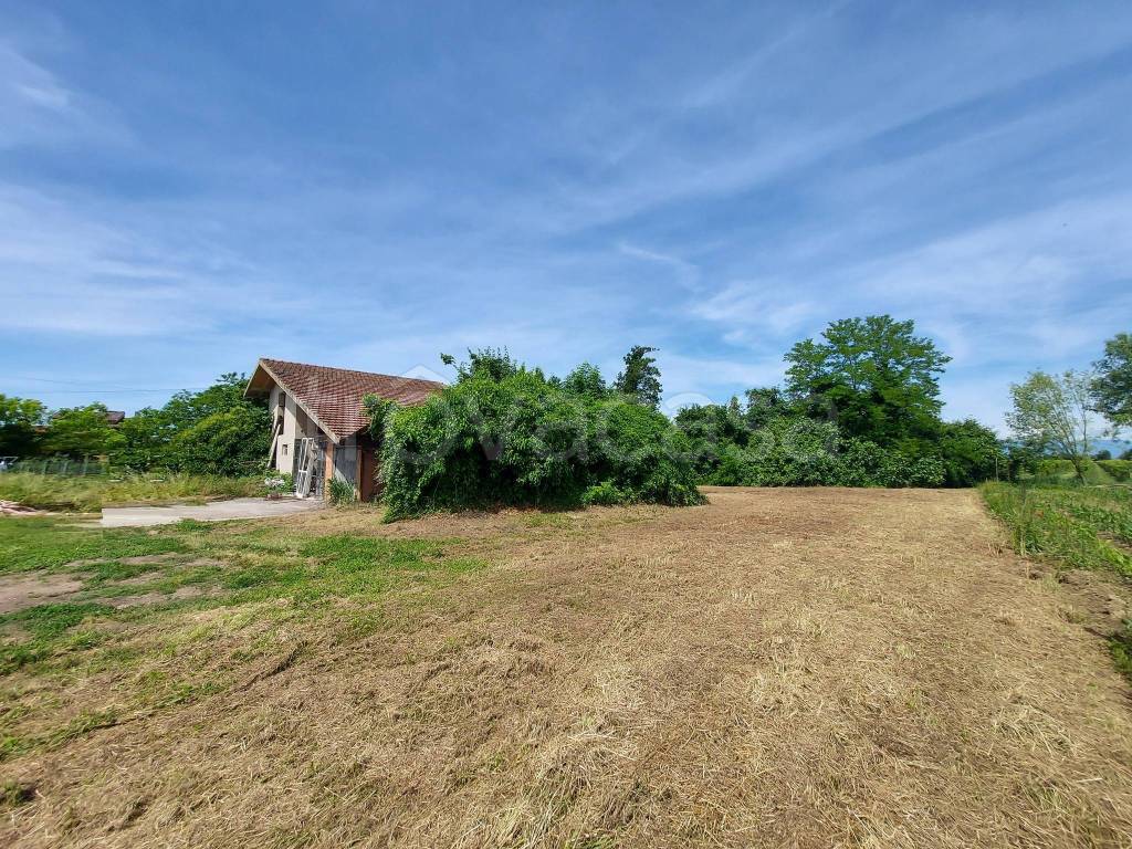 immagine annuncio 4 di 14