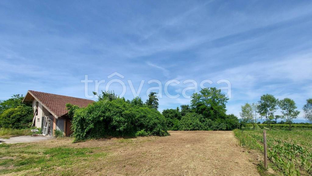 immagine annuncio 6 di 14