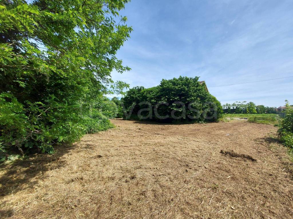 immagine annuncio 9 di 14