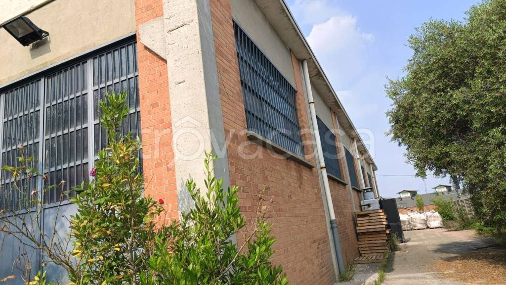 immagine annuncio 1 di 15