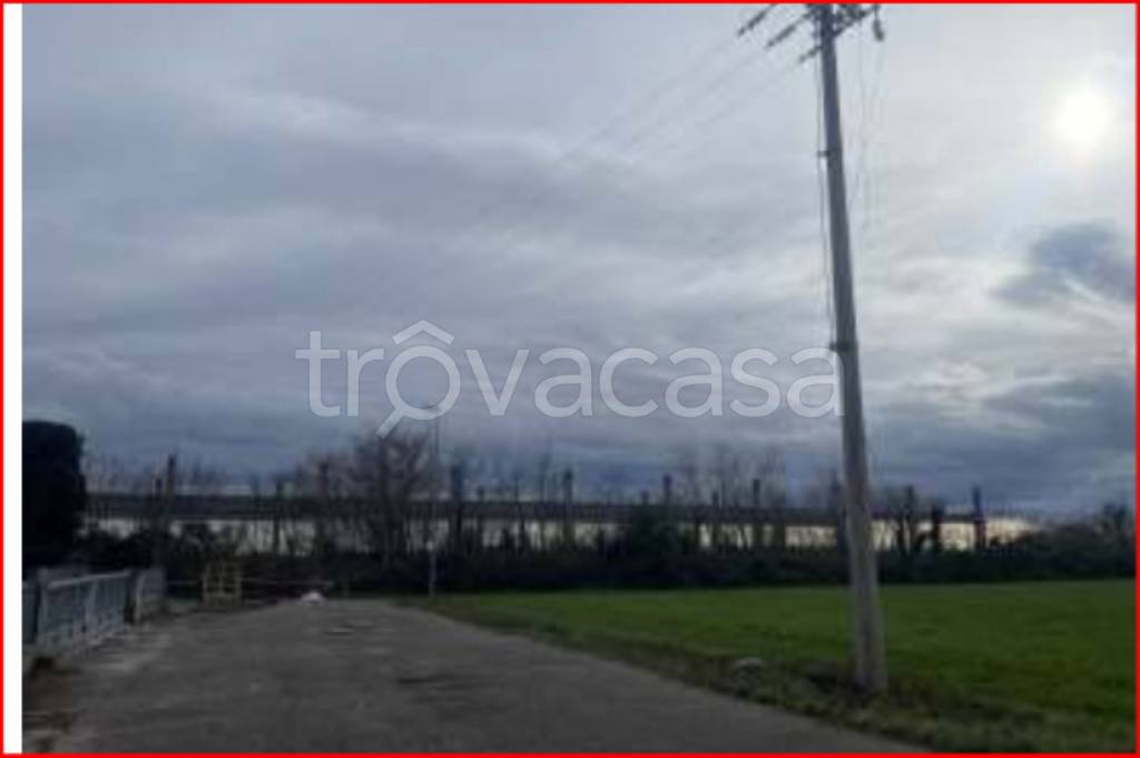 immagine annuncio 2 di 11
