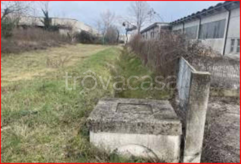 immagine annuncio 2 di 11