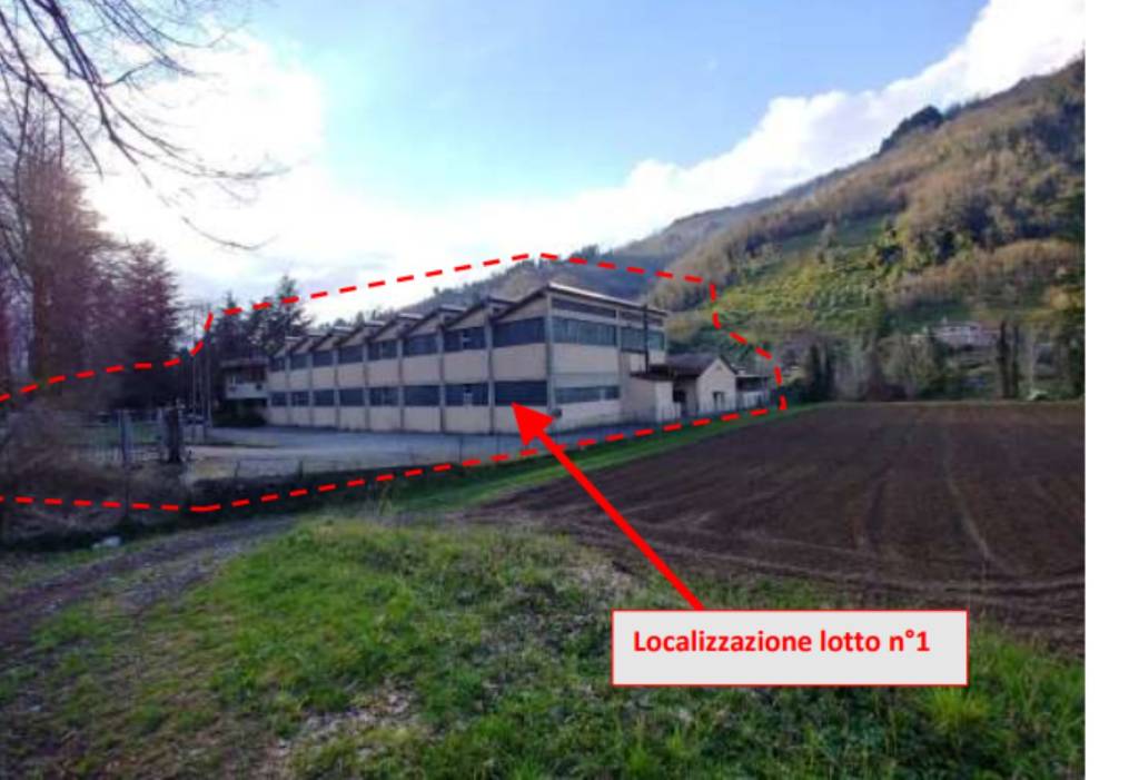 immagine annuncio 4 di 12