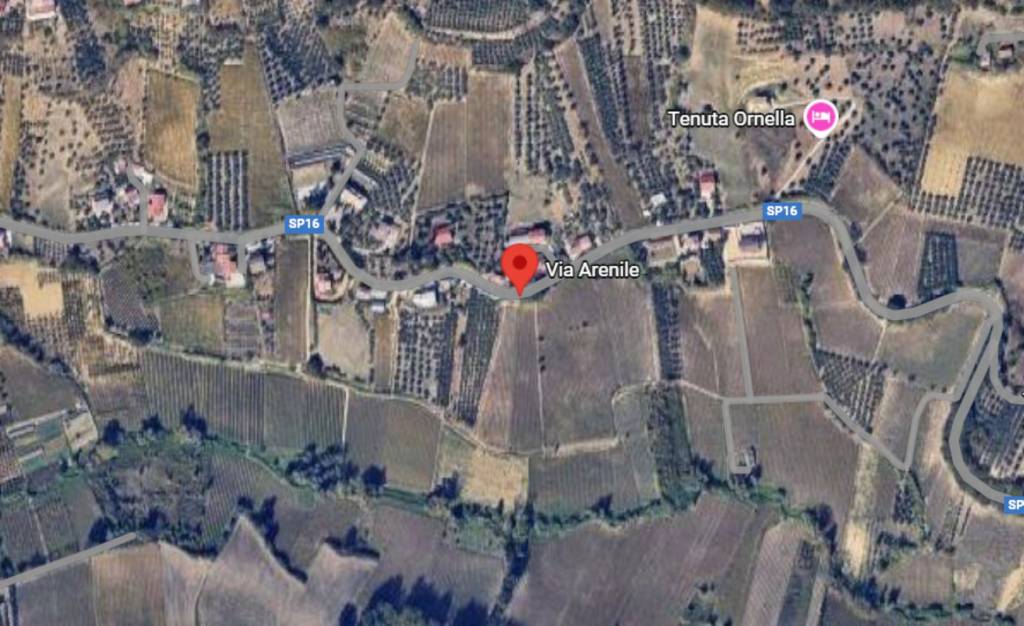immagine annuncio 7 di 11