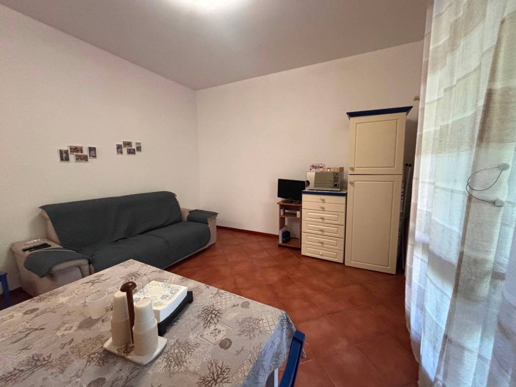 immagine annuncio 3 di 12