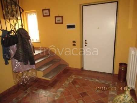 immagine annuncio 2 di 14