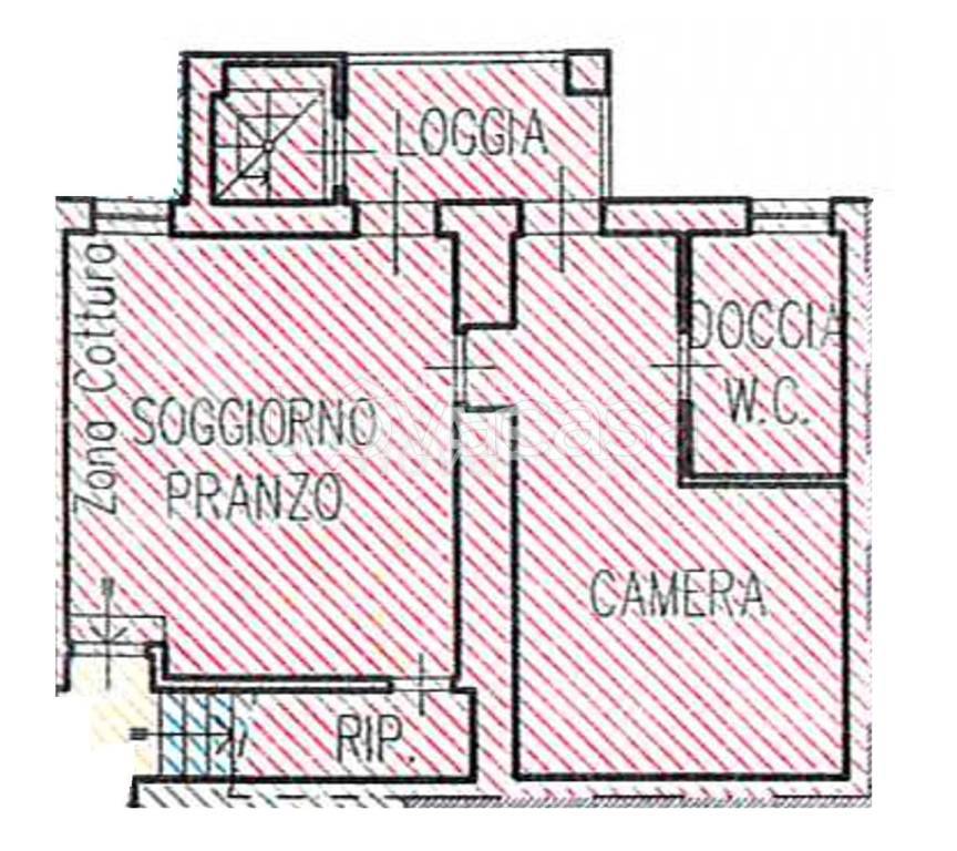 immagine annuncio 4 di 14