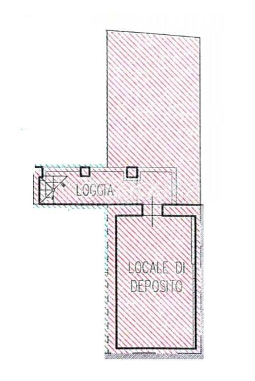 immagine annuncio 5 di 14