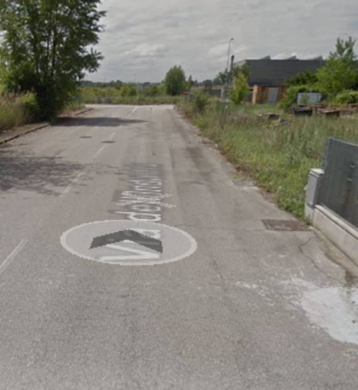 immagine annuncio 3 di 11