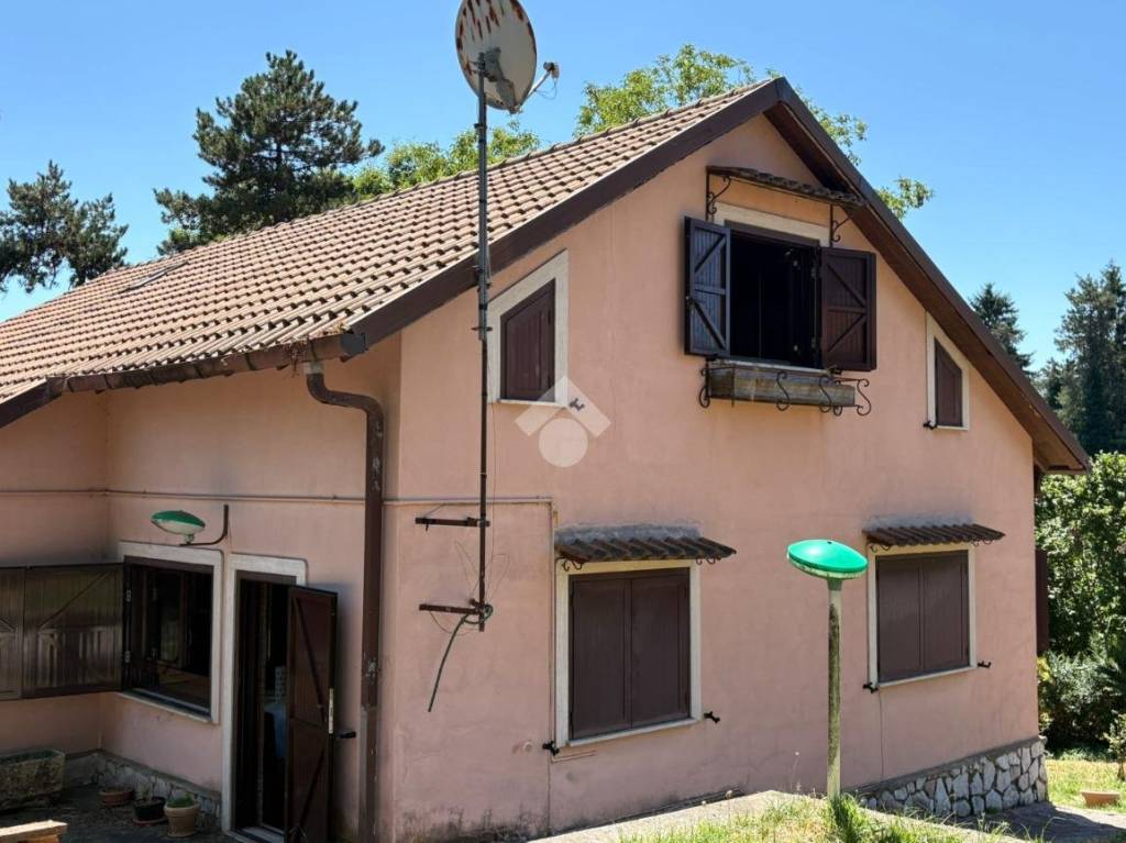 immagine annuncio 7 di 13