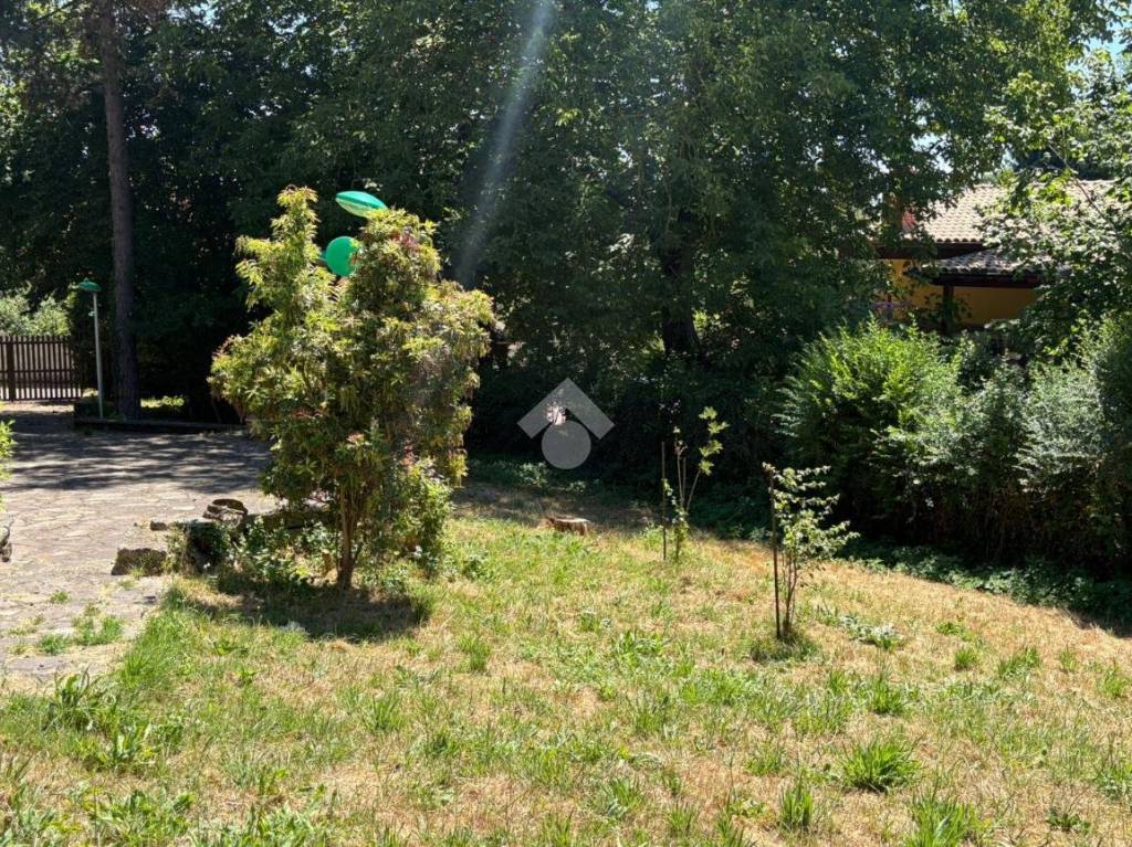 immagine annuncio 11 di 13