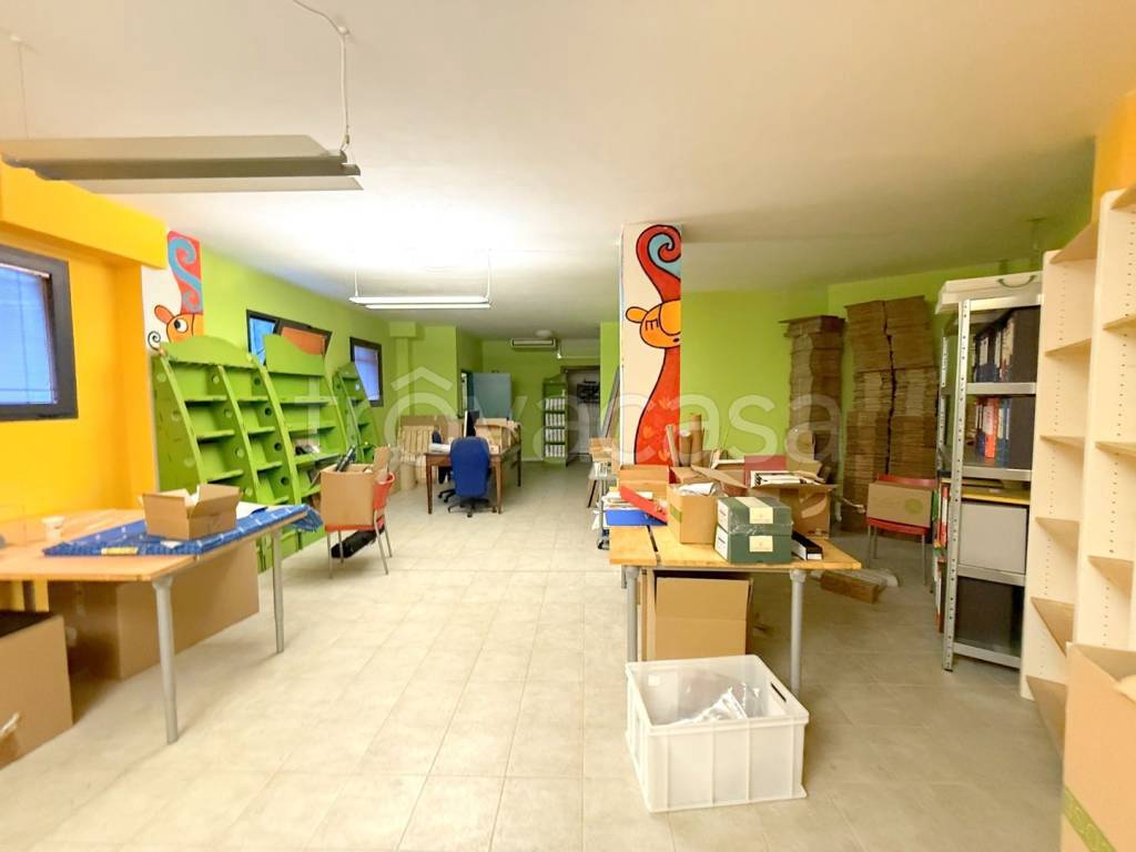 immagine annuncio 12 di 15