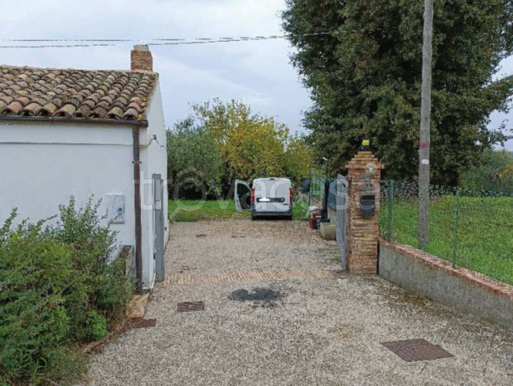 immagine annuncio 2 di 12
