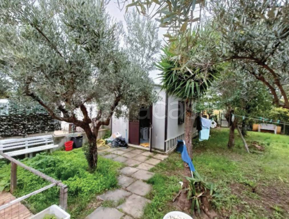 immagine annuncio 8 di 12