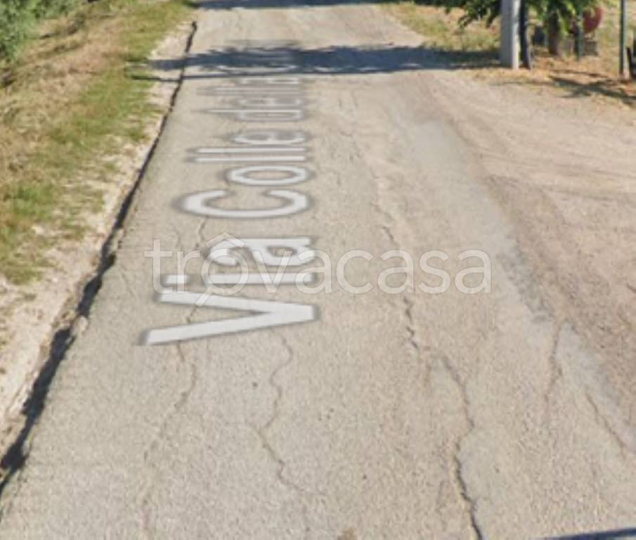 immagine annuncio 9 di 14