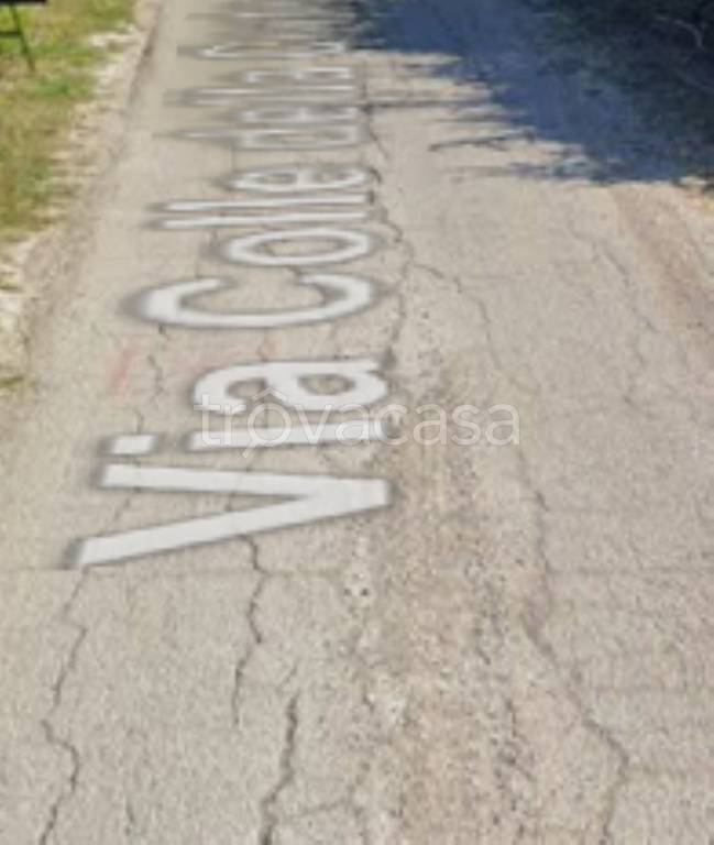 immagine annuncio 12 di 14