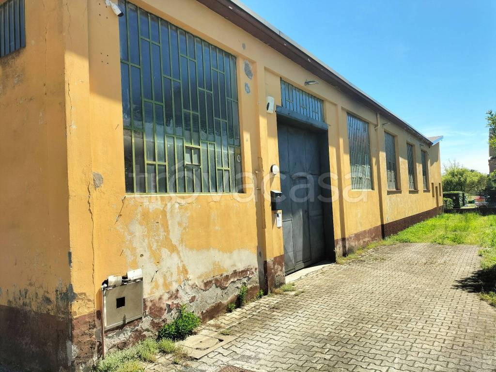 immagine annuncio 9 di 14