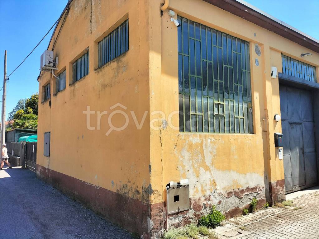 immagine annuncio 7 di 14