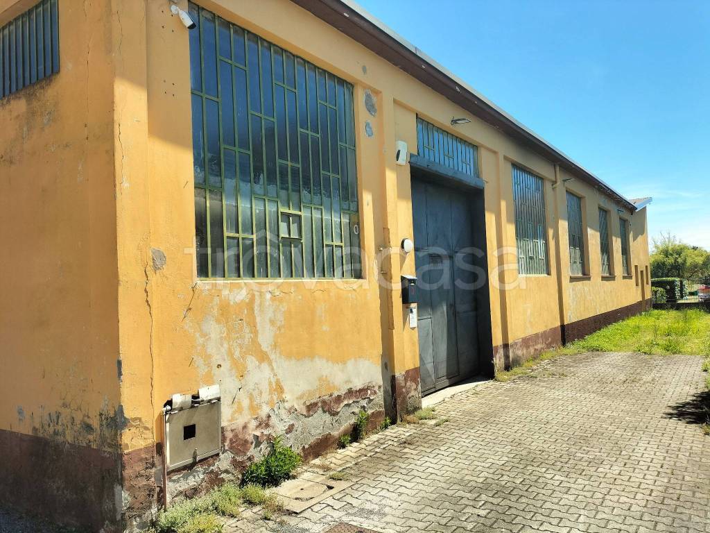 immagine annuncio 5 di 14