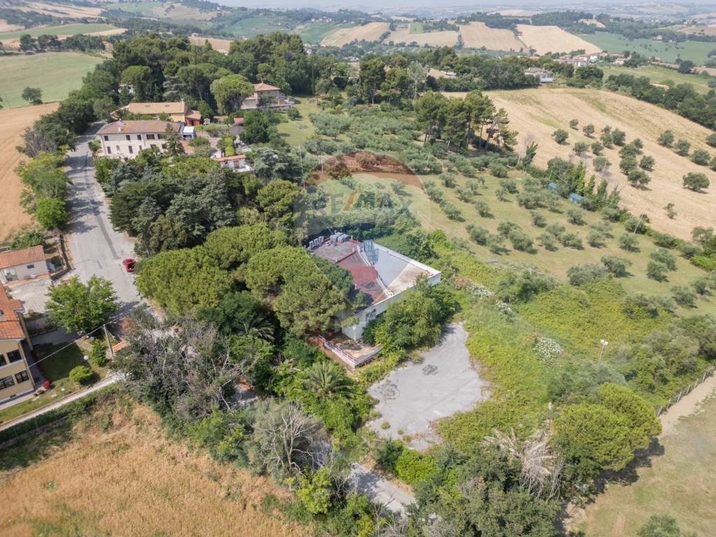immagine annuncio 7 di 14