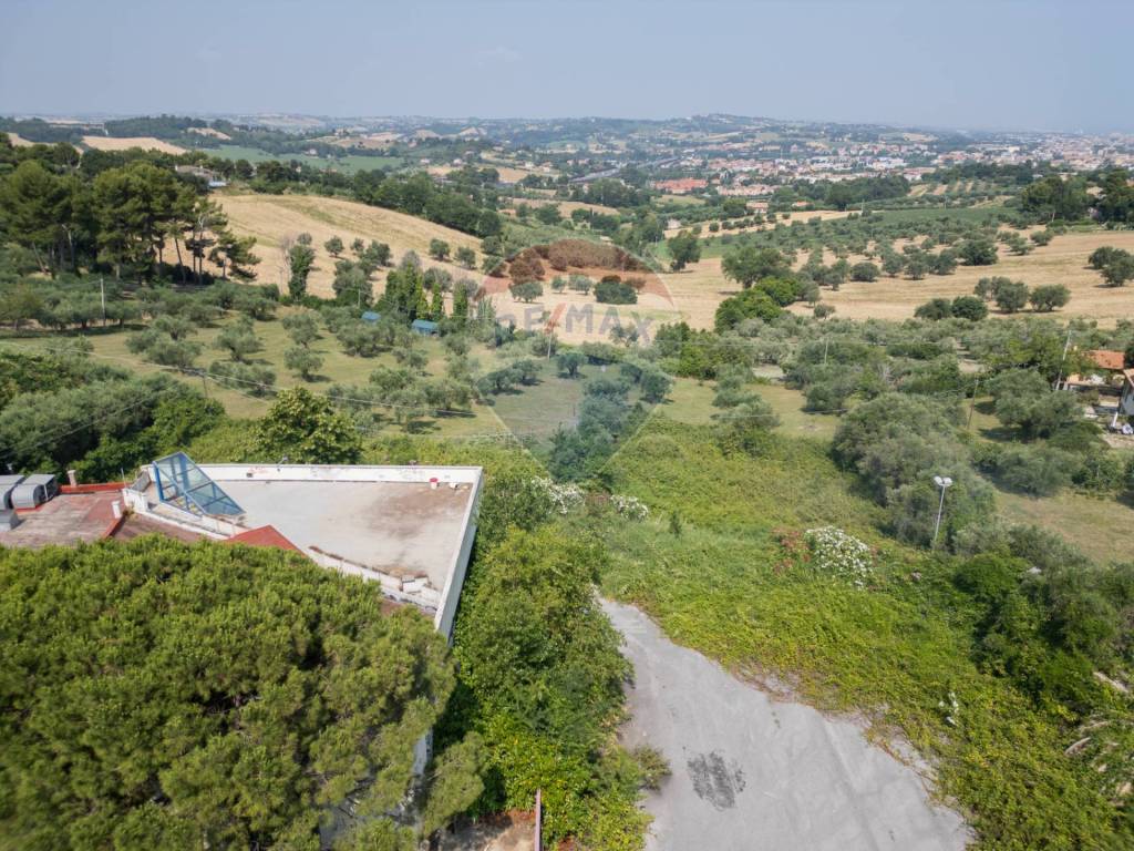 immagine annuncio 9 di 14