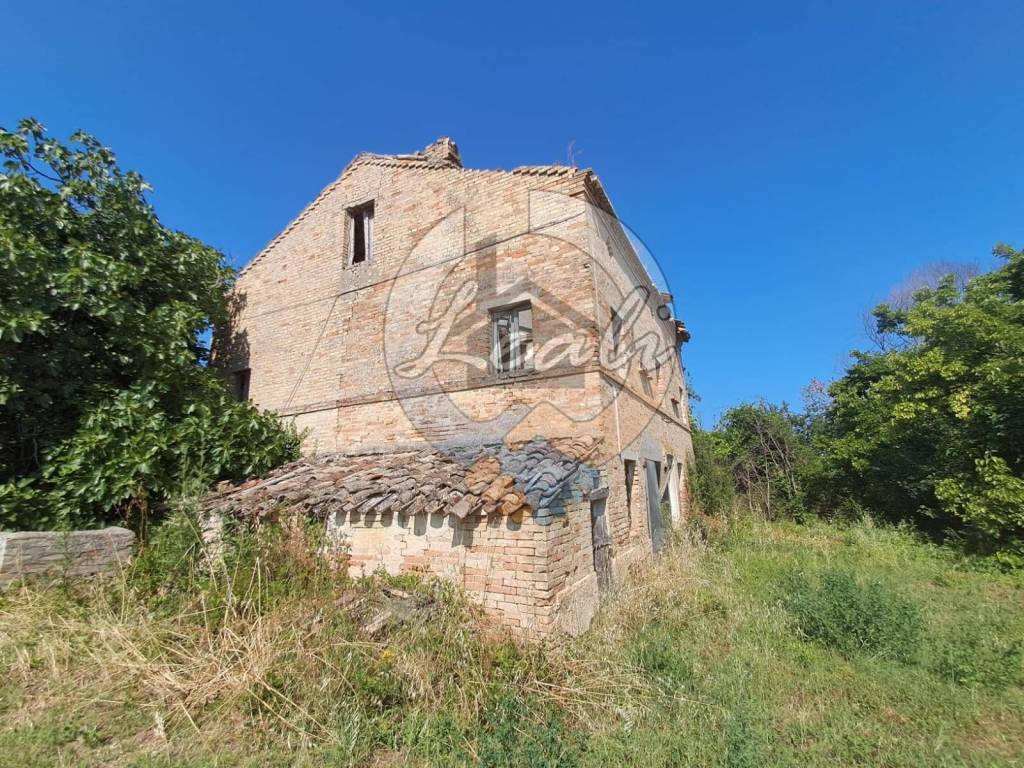 immagine annuncio 2 di 11