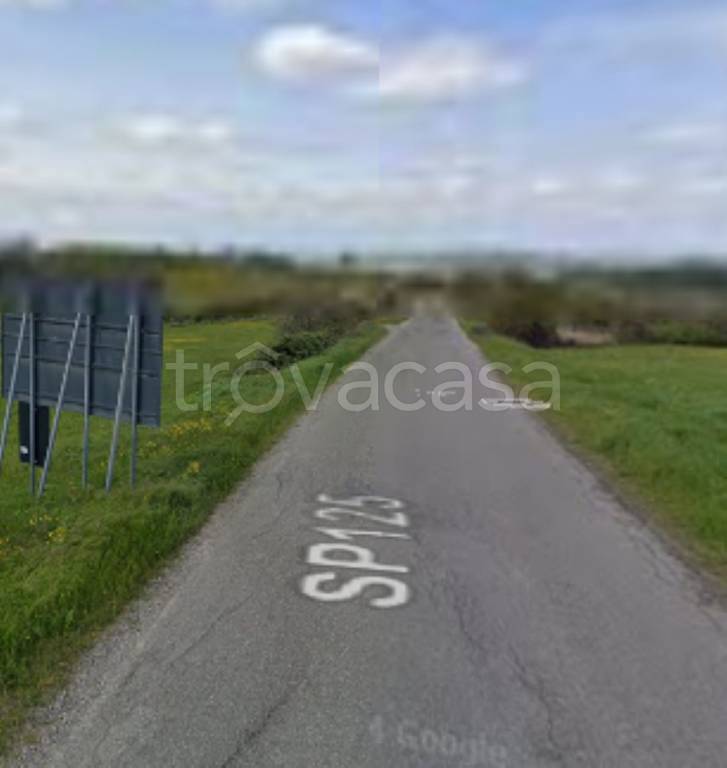 immagine annuncio 10 di 11