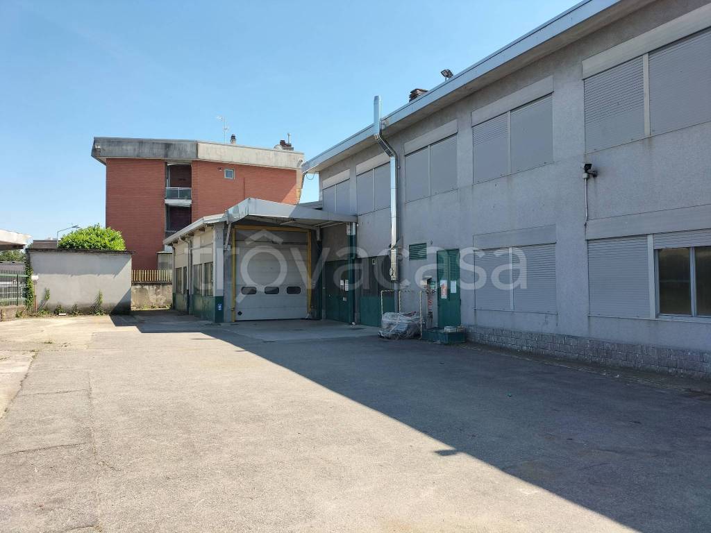 immagine annuncio 3 di 15