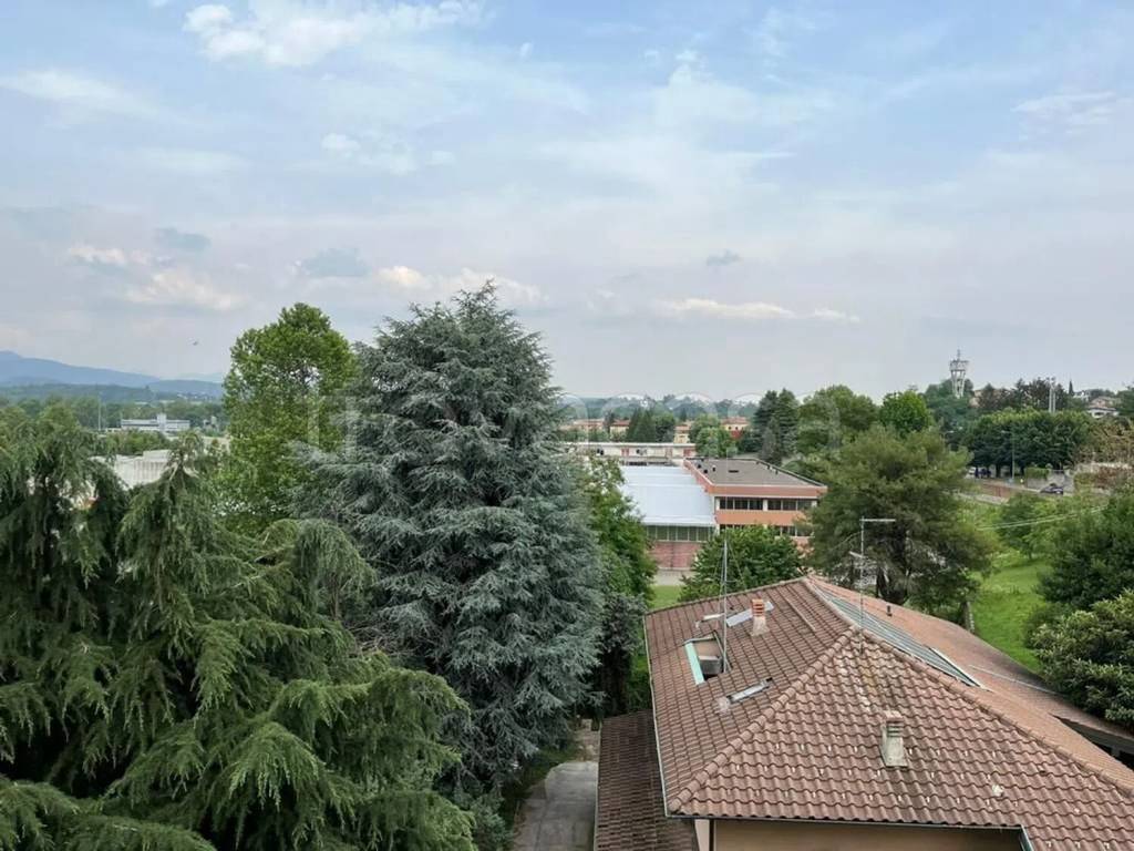 immagine annuncio 3 di 14