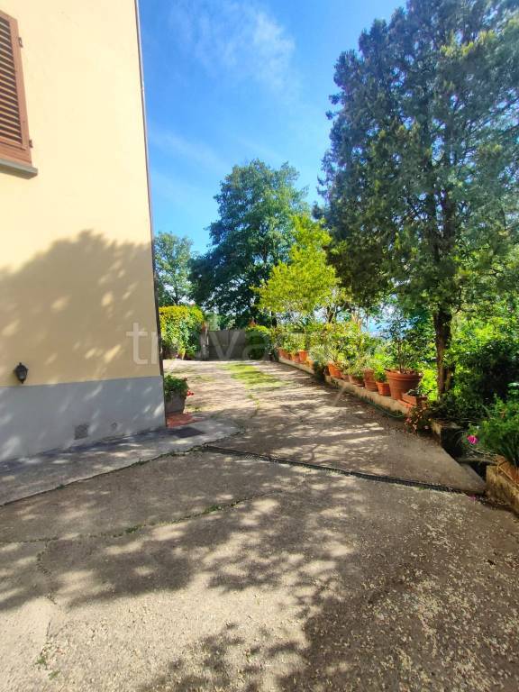 immagine annuncio 6 di 8