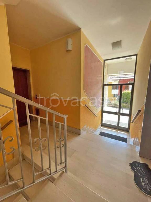 immagine annuncio 11 di 12