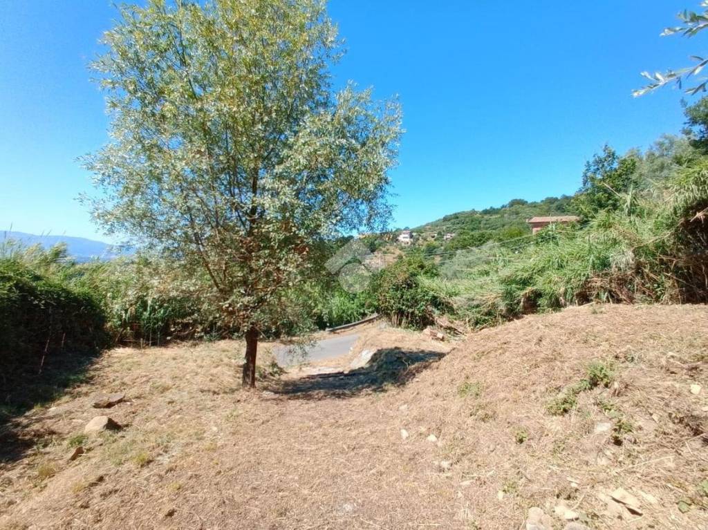 immagine annuncio 6 di 14