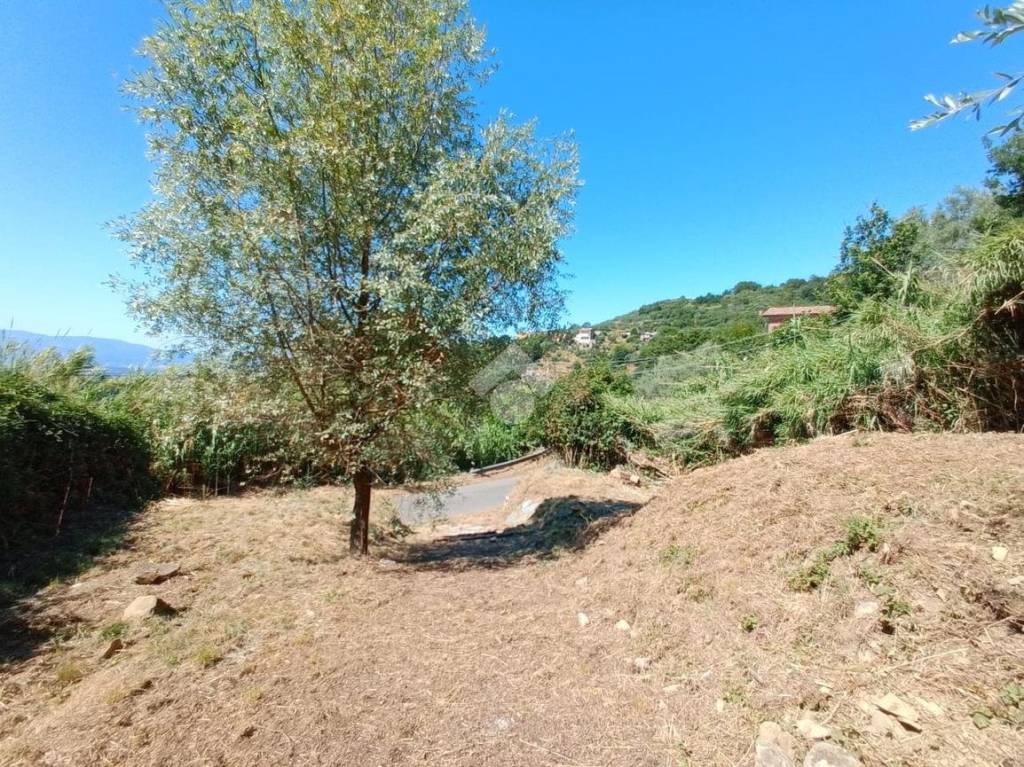 immagine annuncio 9 di 14