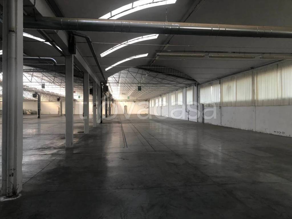 immagine annuncio 1 di 6