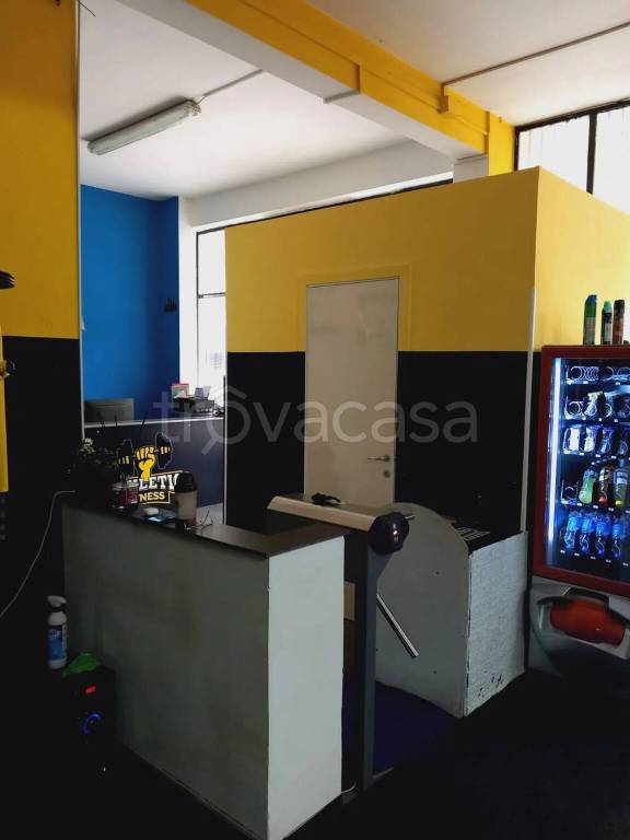 immagine annuncio 13 di 15