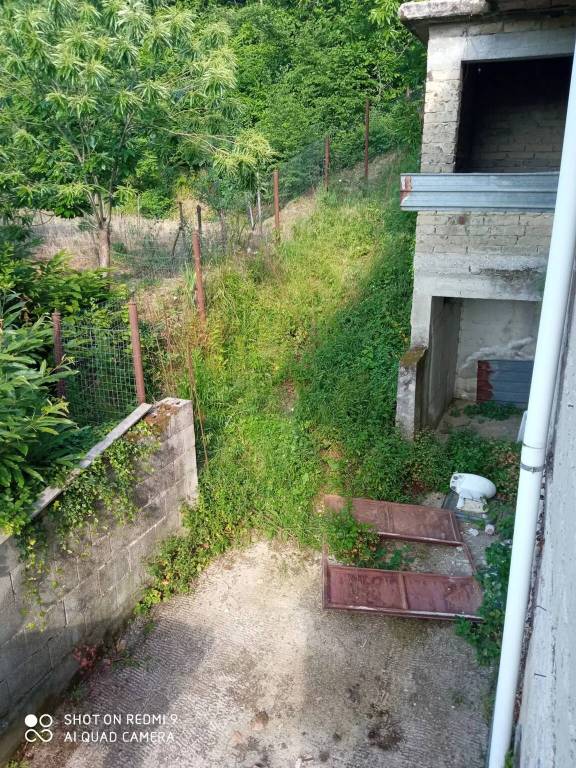 immagine annuncio 9 di 12