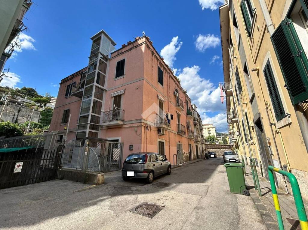 immagine annuncio 2 di 14